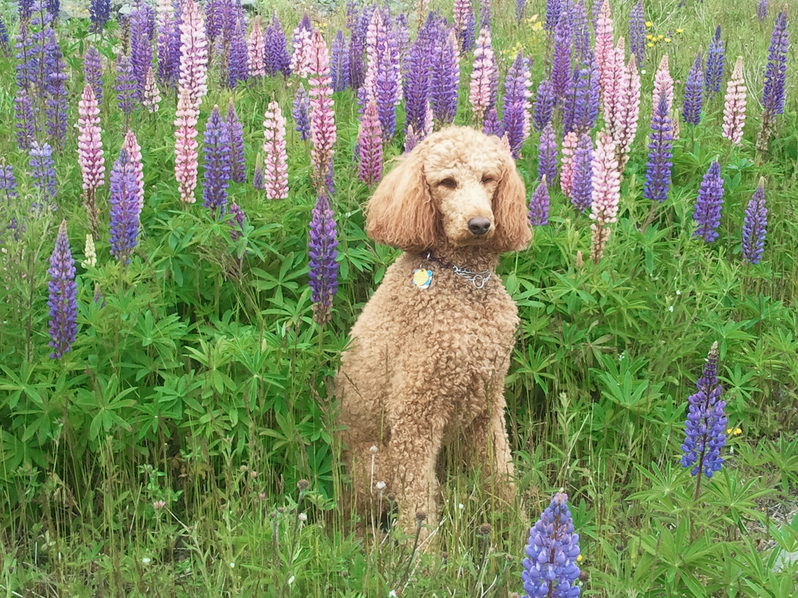 Main Gallery Display