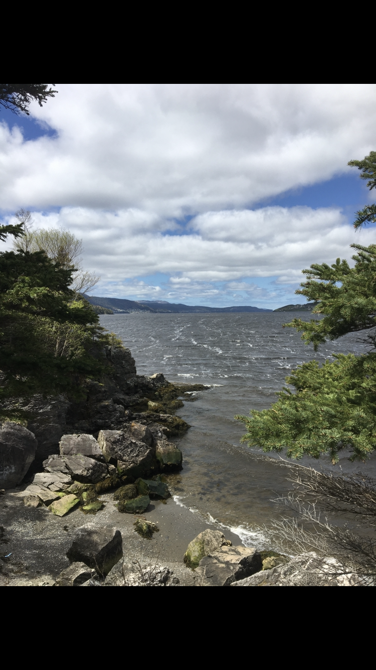 Main Gallery Display