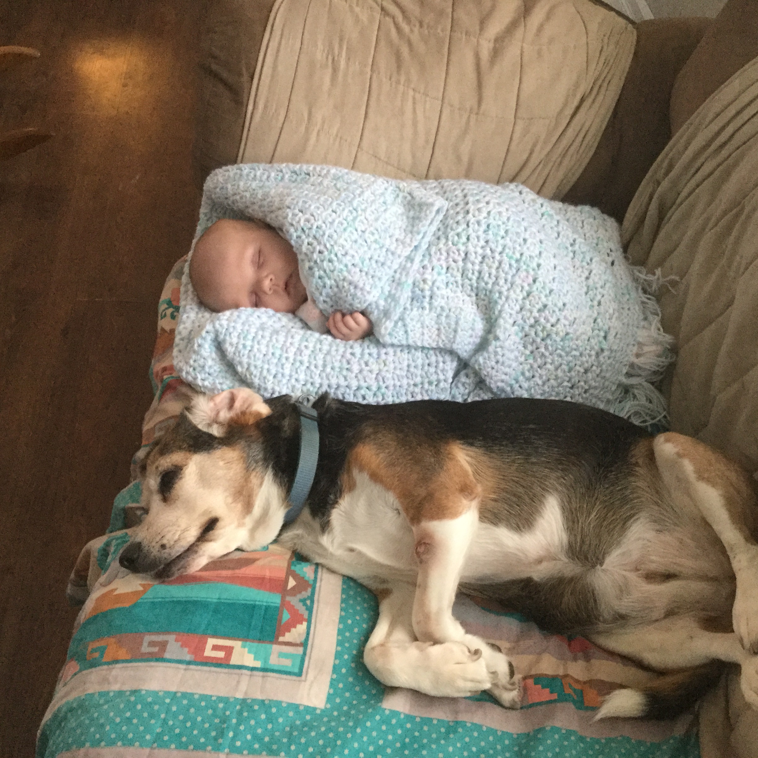 Main Gallery Display