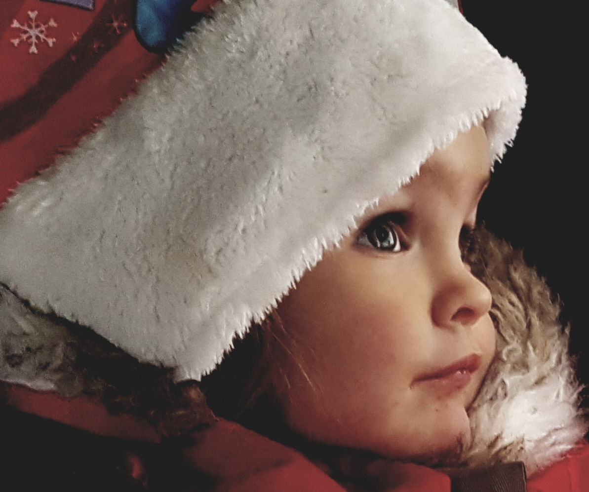 Main Gallery Display