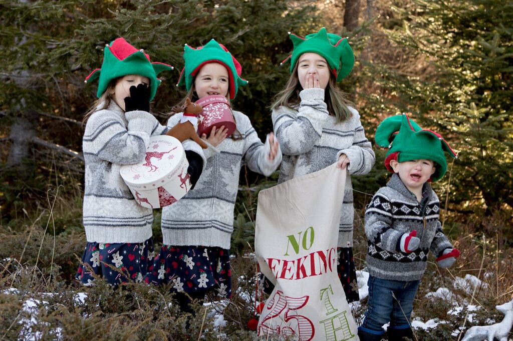 Main Gallery Display