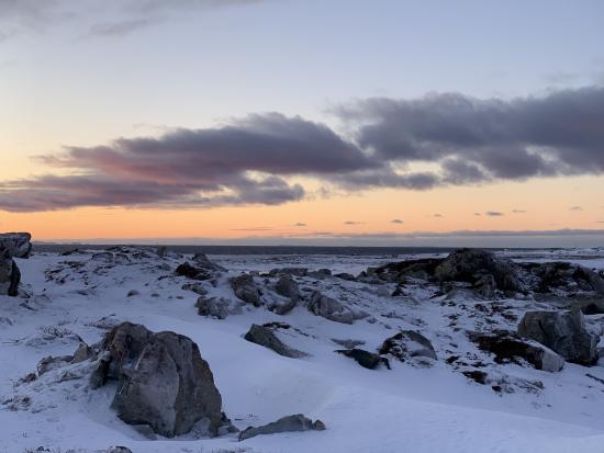 Main Gallery Display