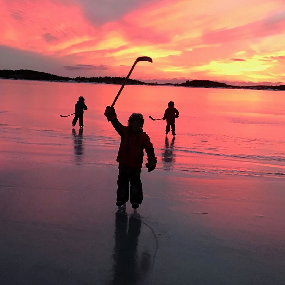 Main Gallery Display