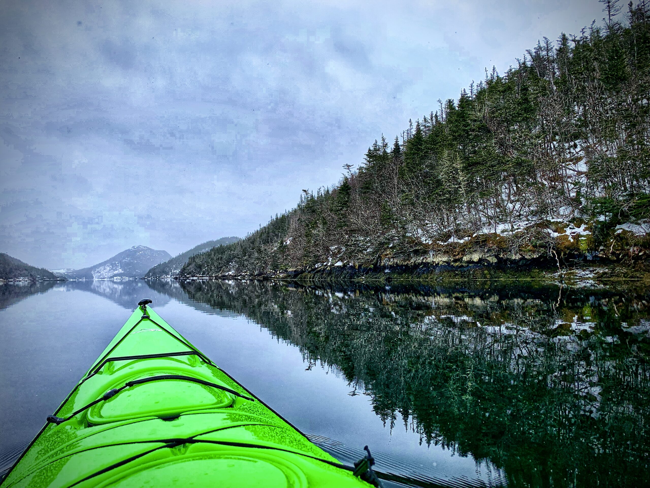 Main Gallery Display