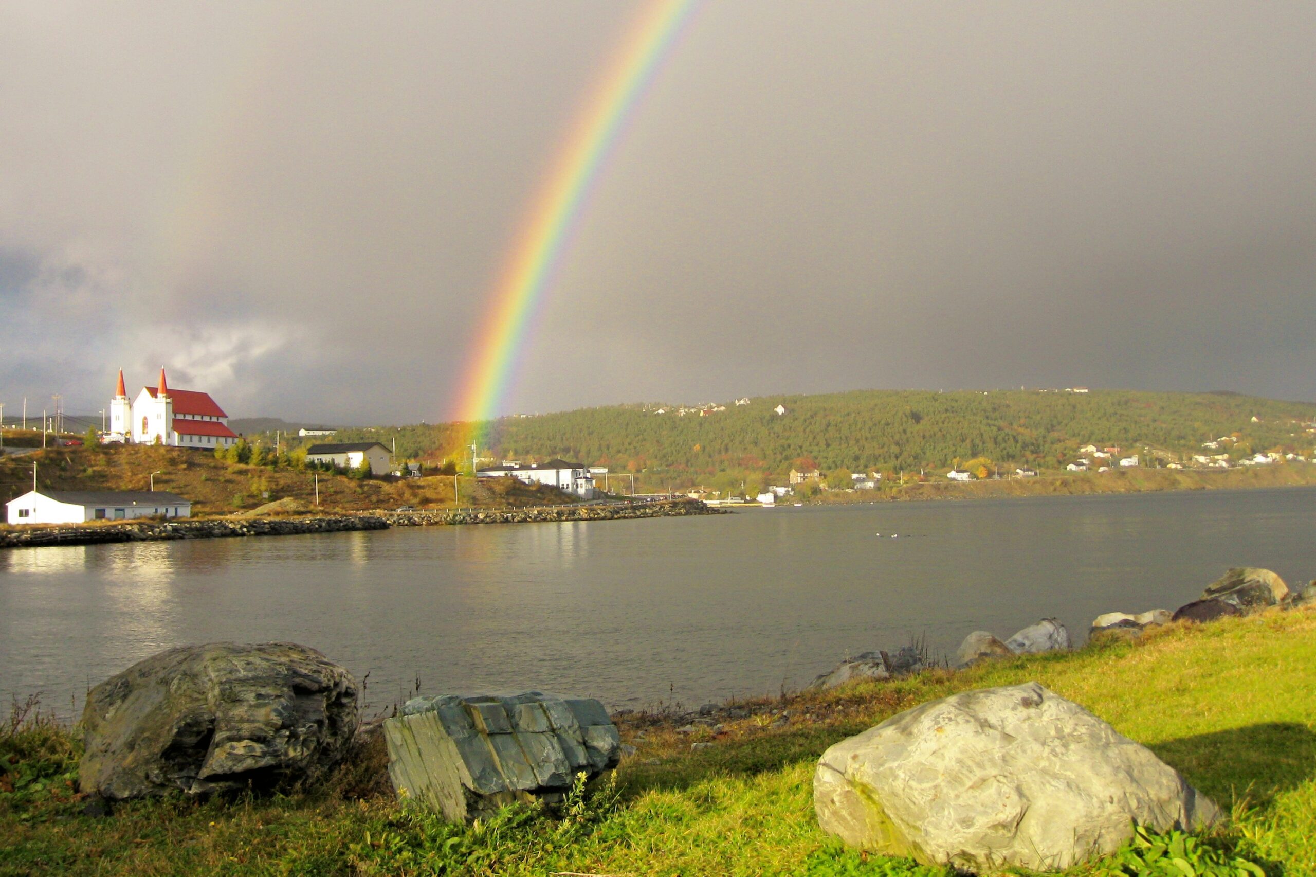 Main Gallery Display