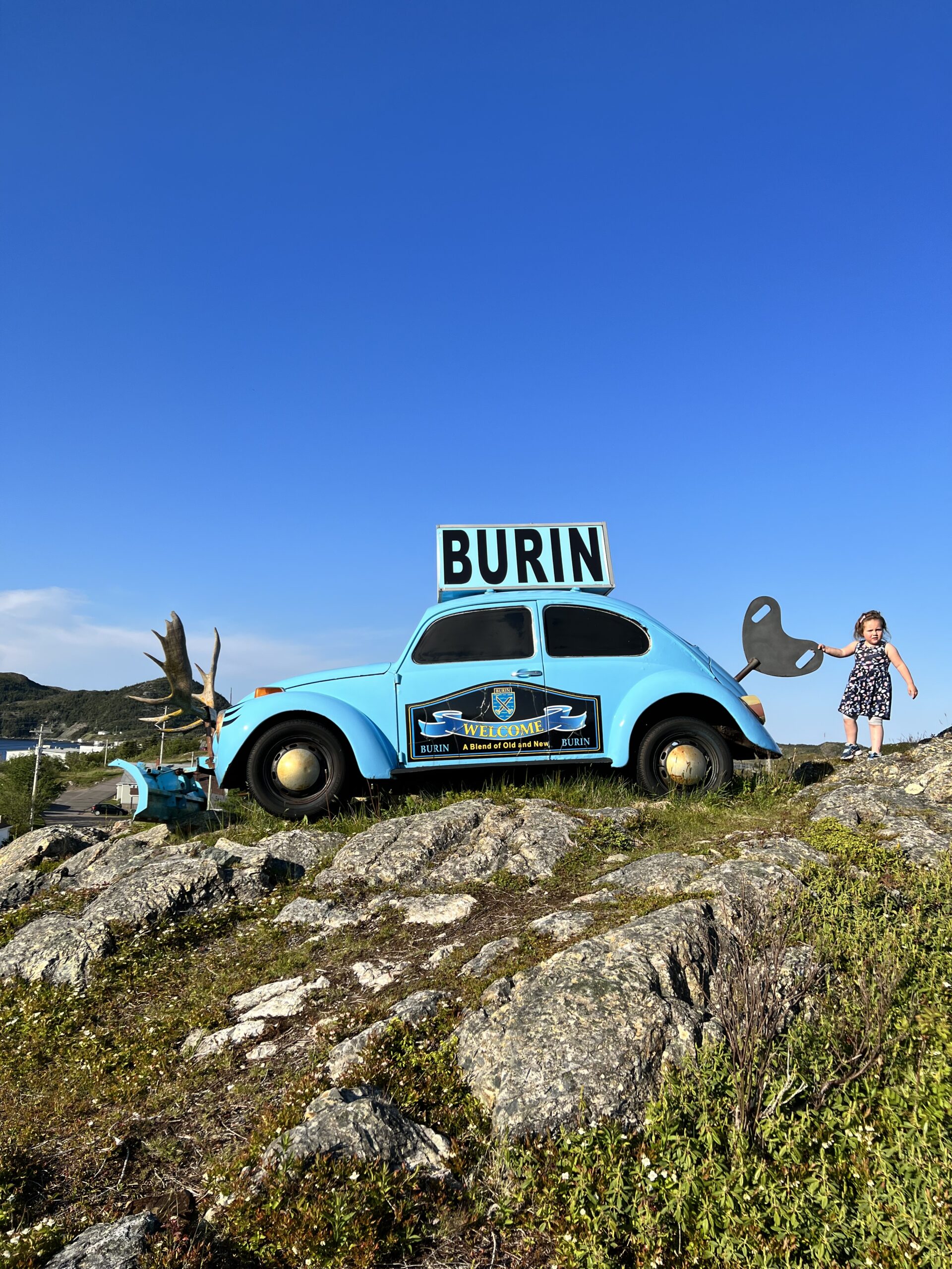 Main Gallery Display