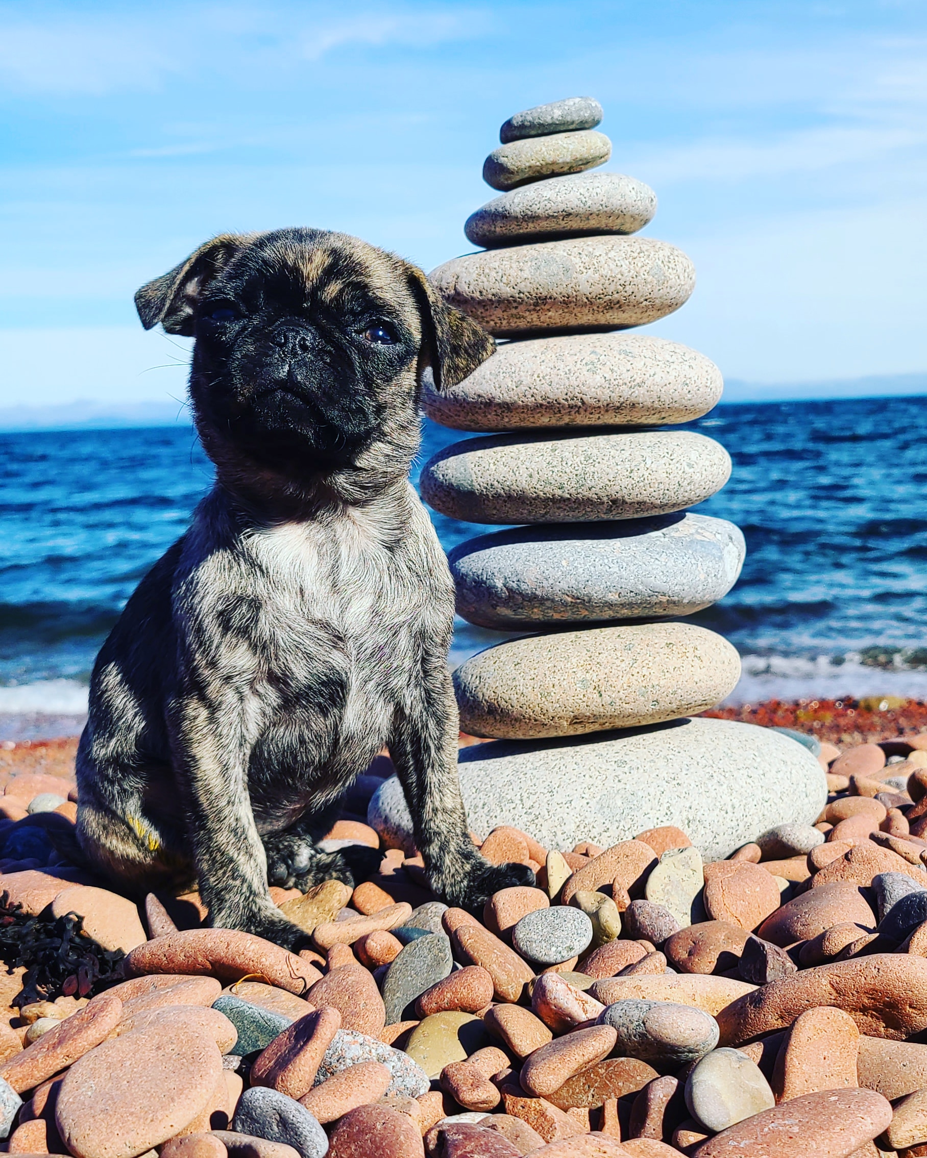 Main Gallery Display