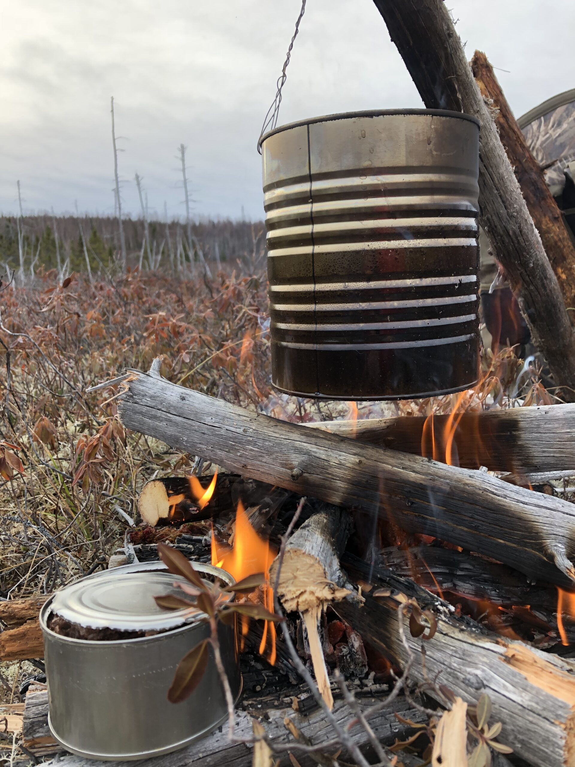 Main Gallery Display