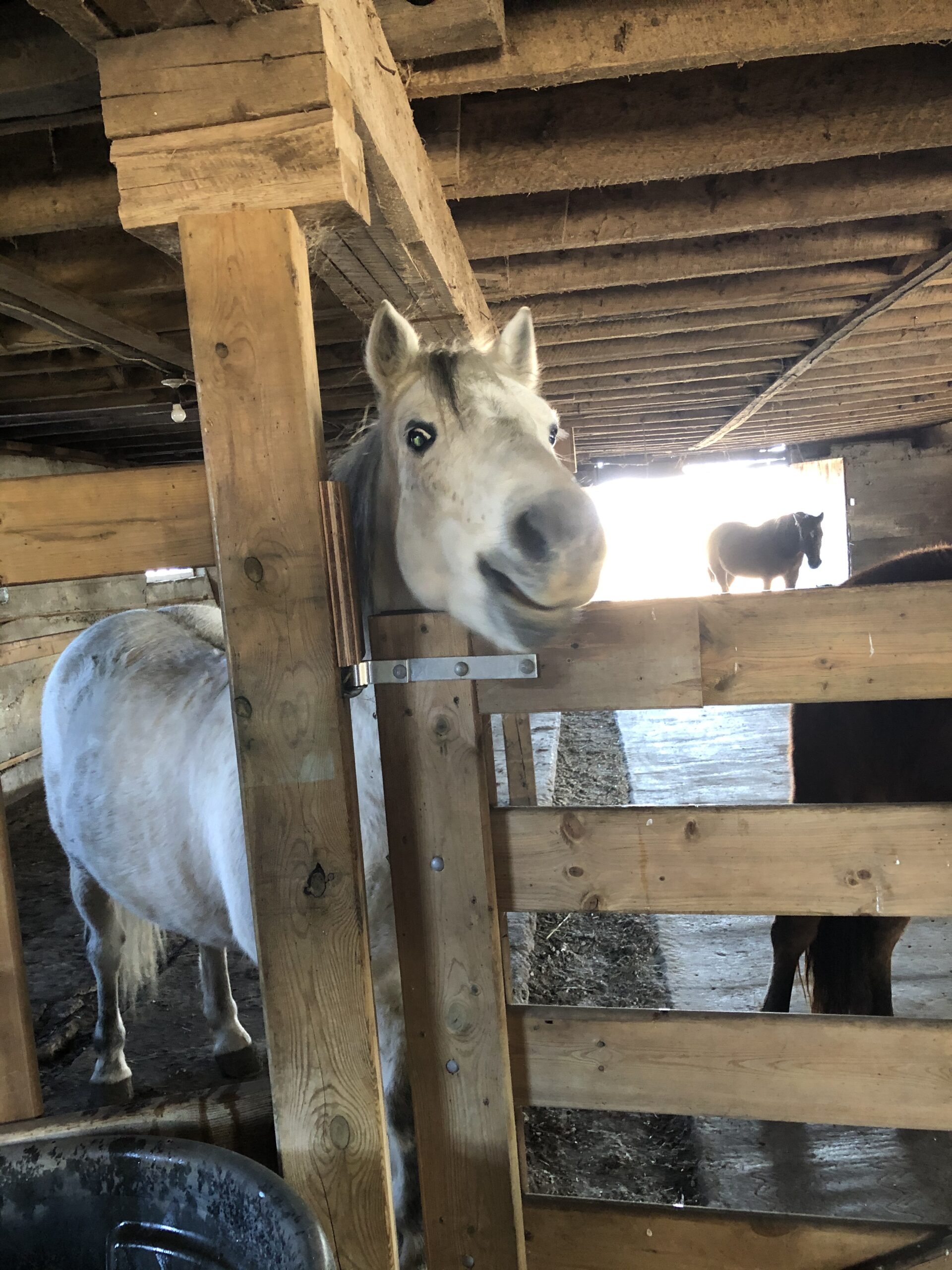 Main Gallery Display