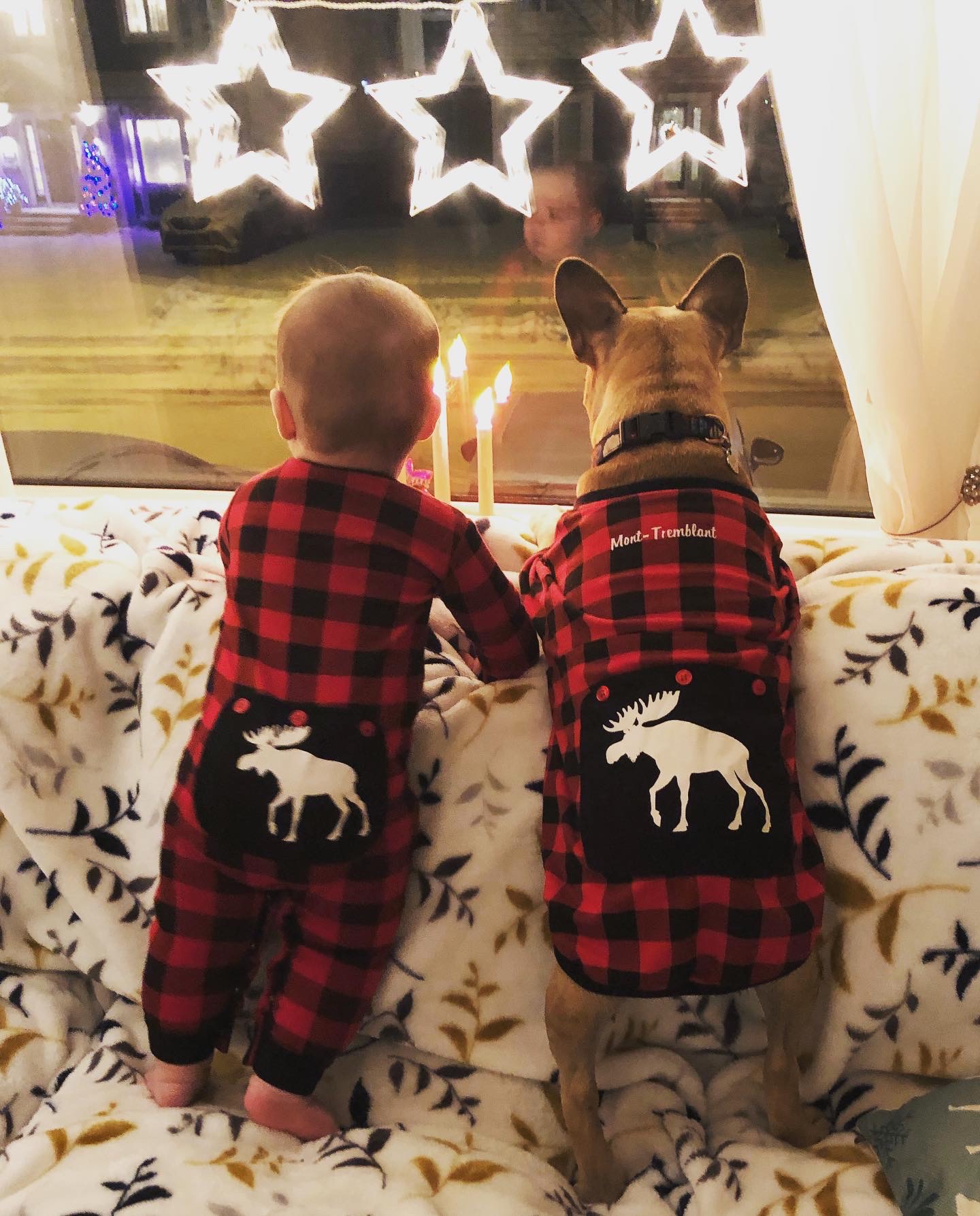 Main Gallery Display