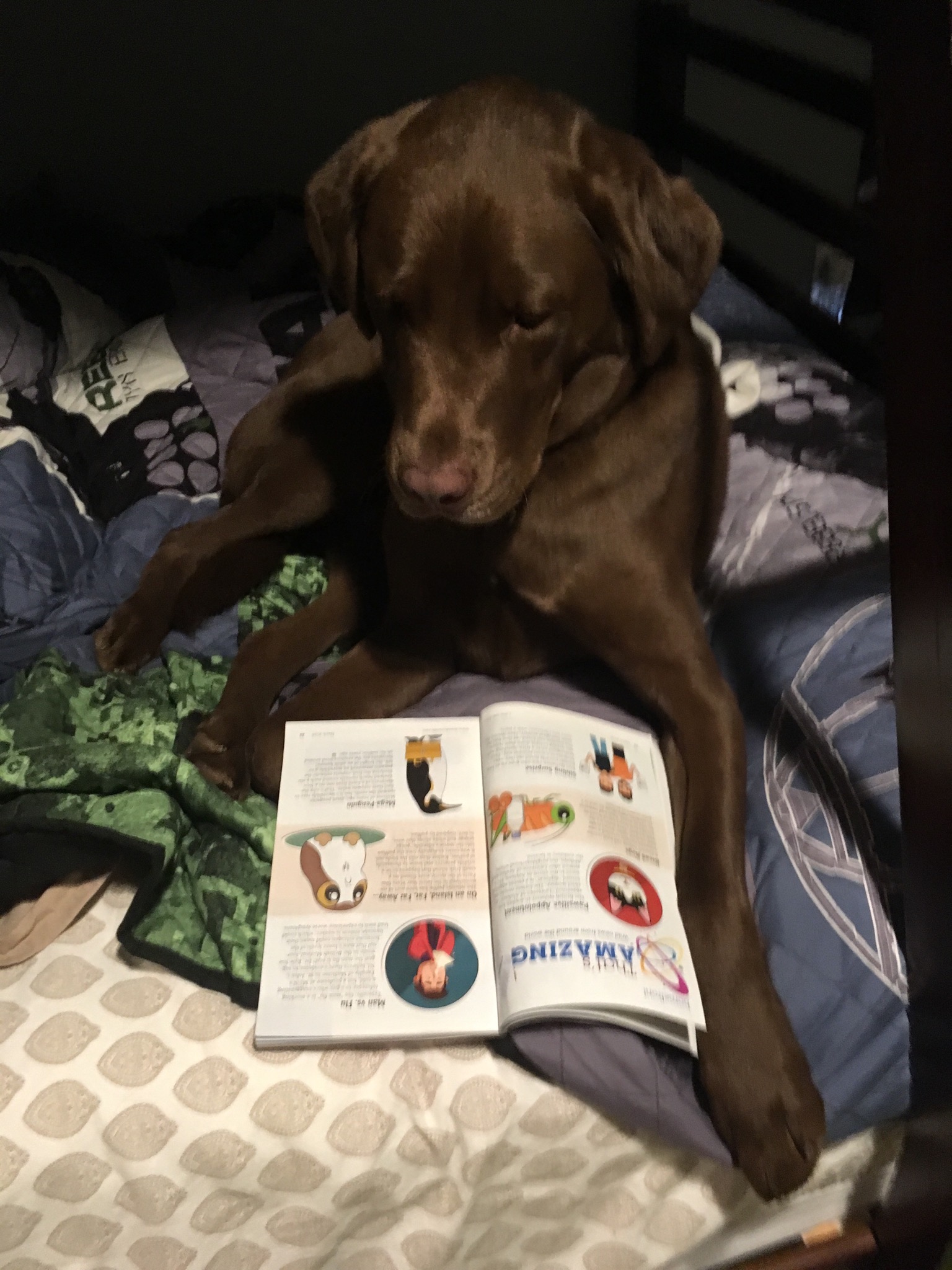 Main Gallery Display