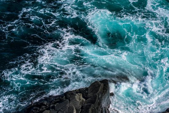 Main Gallery Display