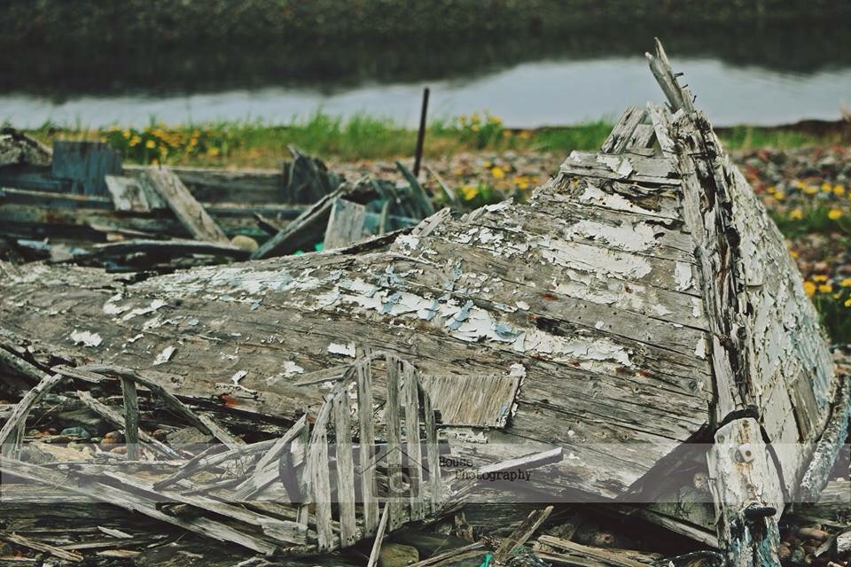 Main Gallery Display