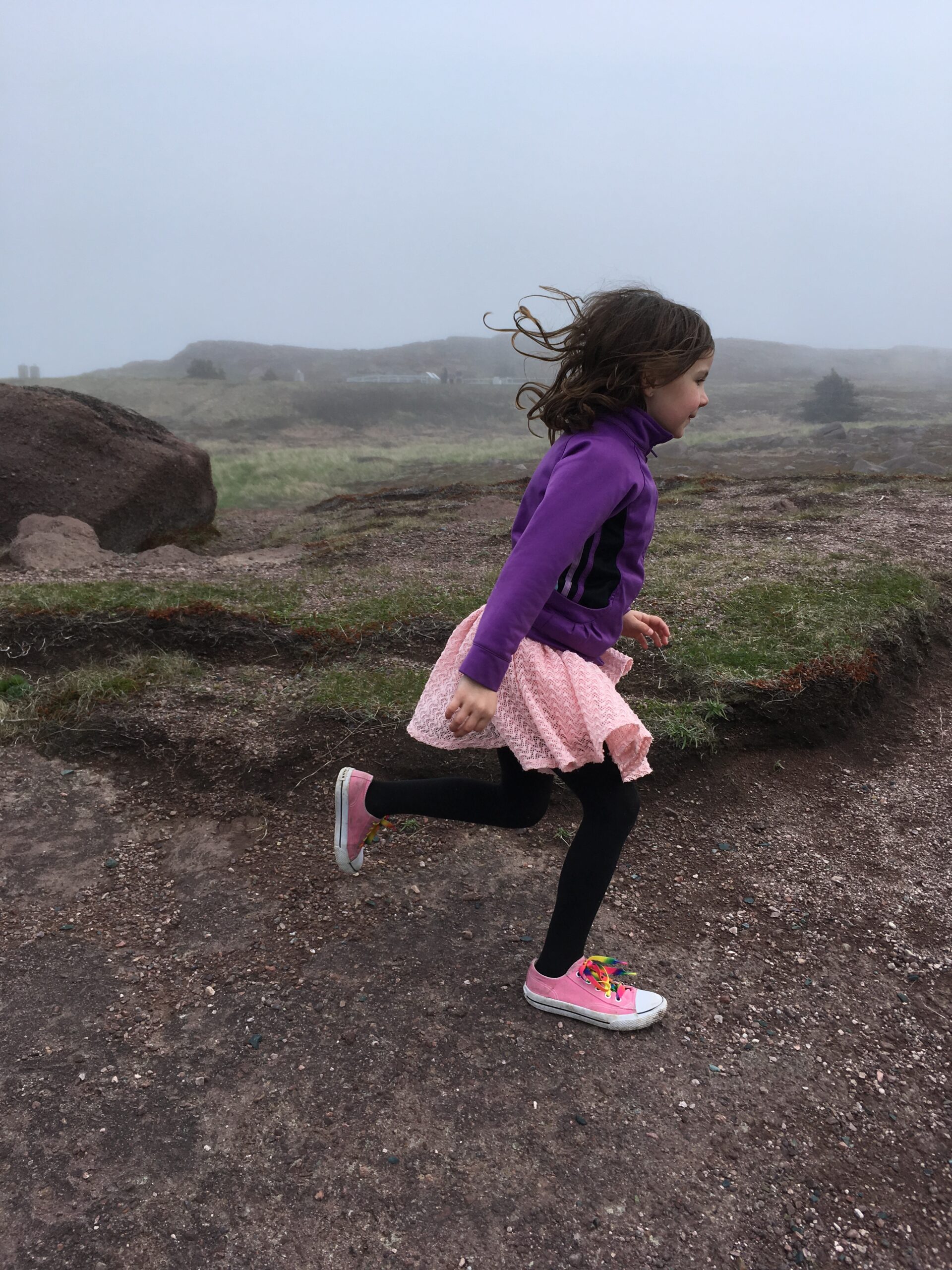 Main Gallery Display