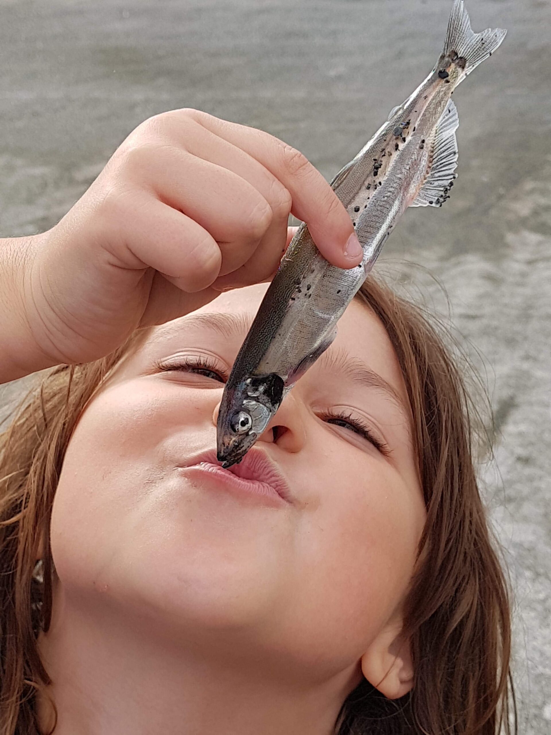 Main Gallery Display