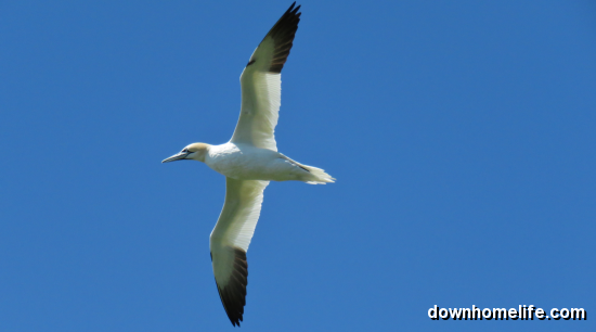 Main Gallery Display