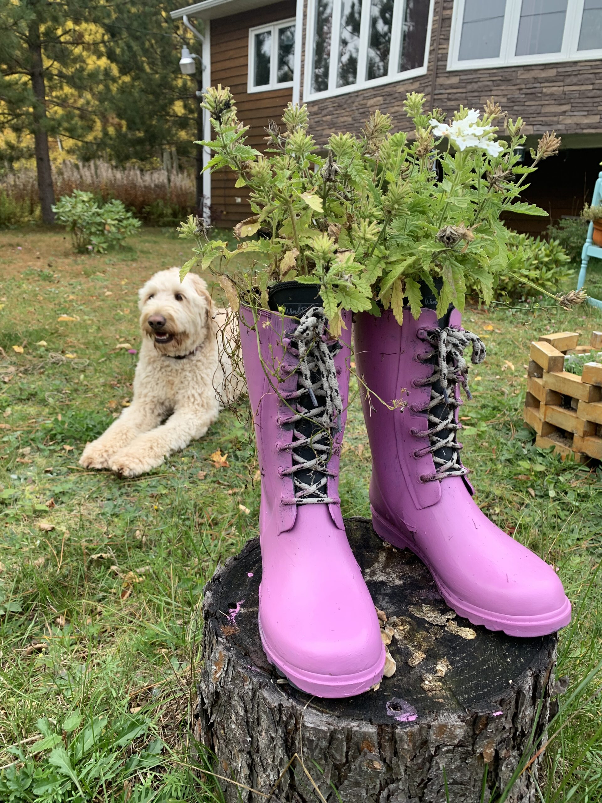 Main Gallery Display