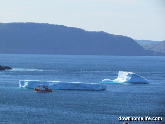Main Gallery Display