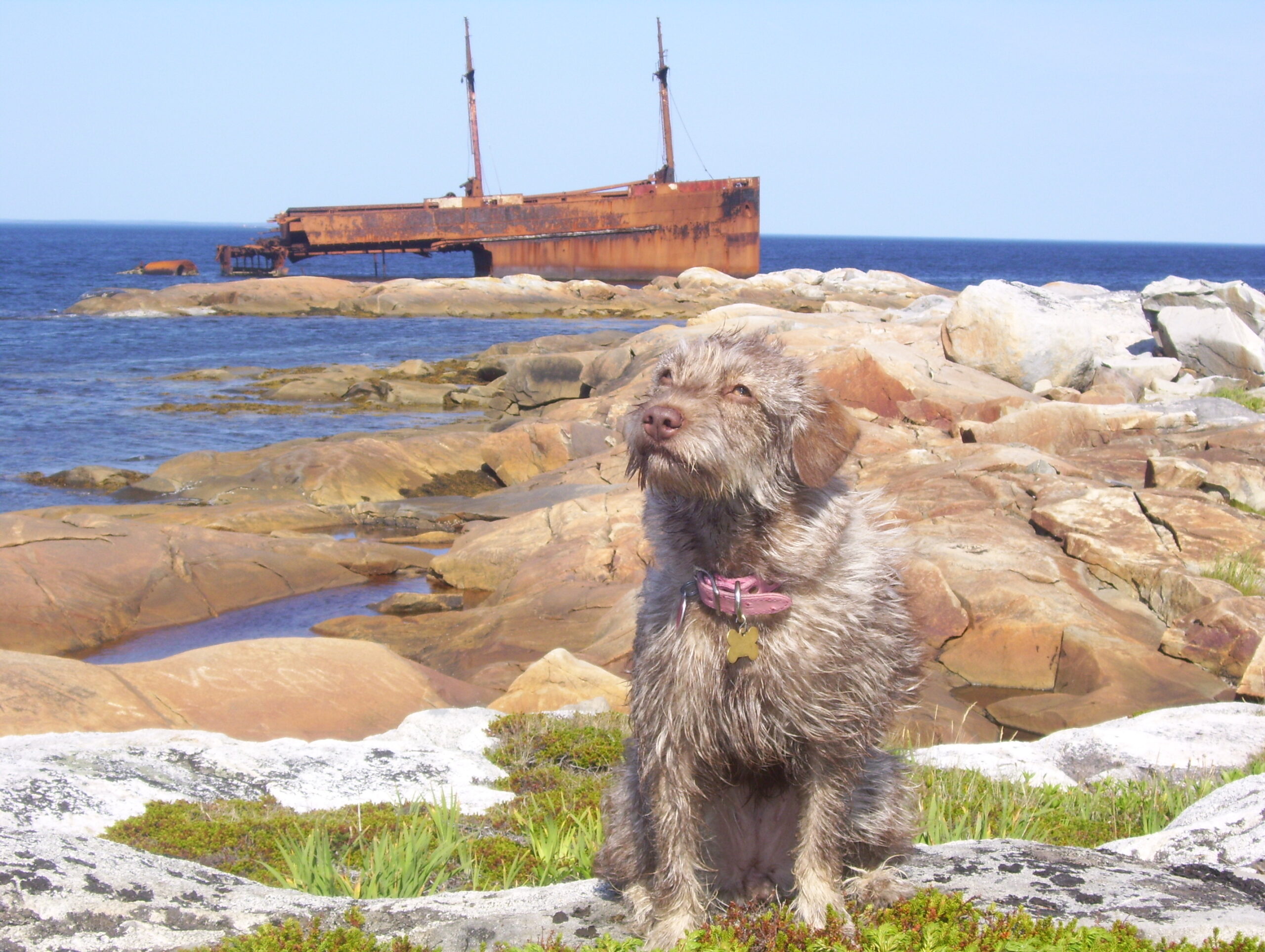 Main Gallery Display
