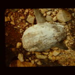 Thumbnail Preview
