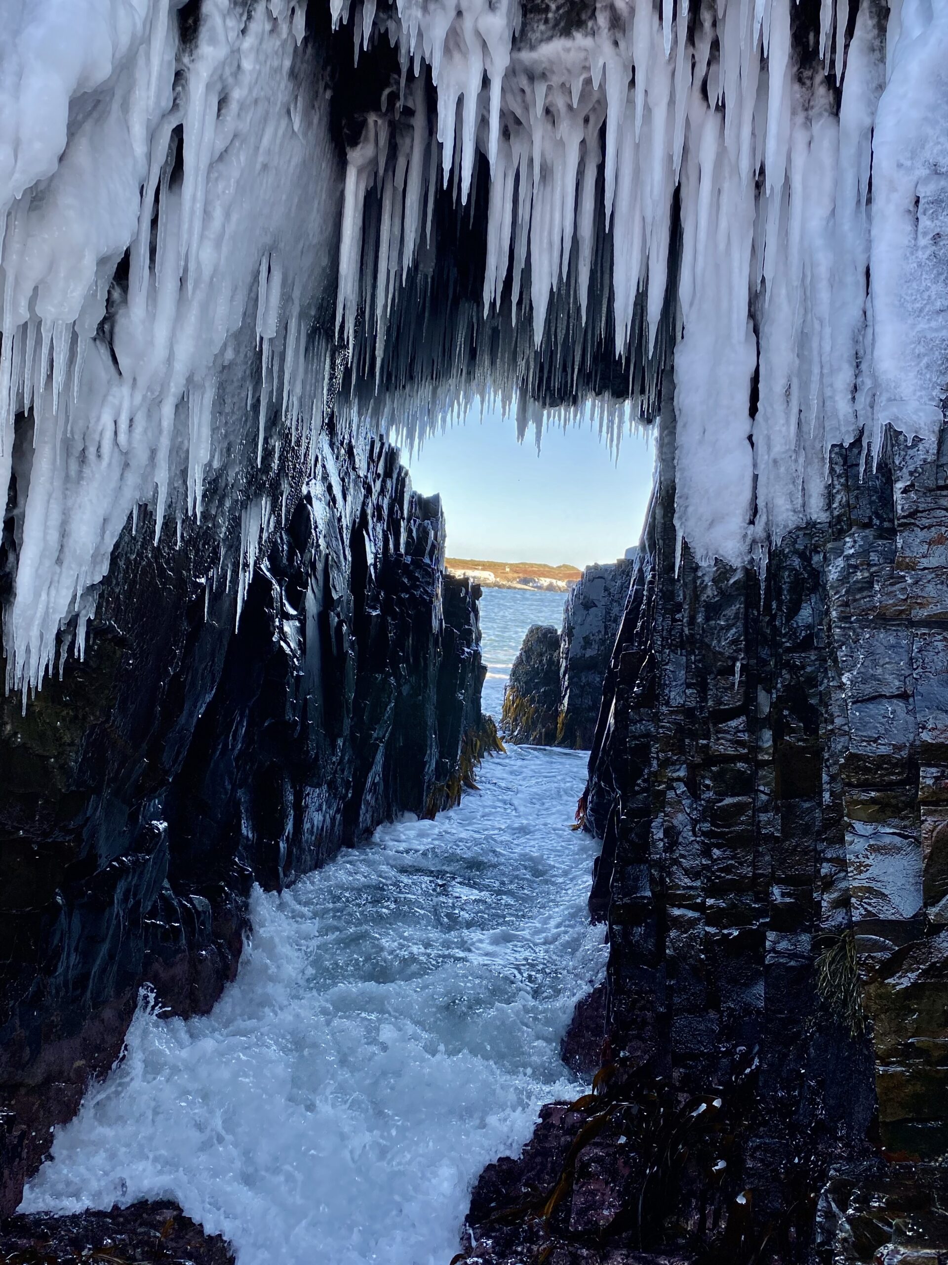 Main Gallery Display