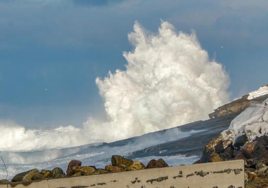 Main Gallery Display