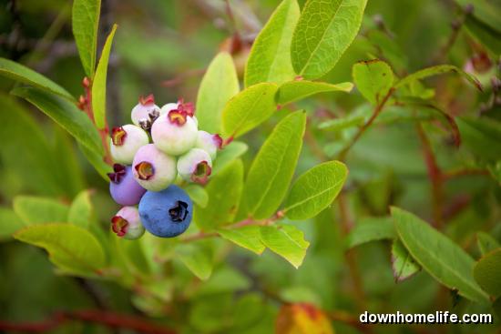 Main Gallery Display