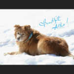 Thumbnail Preview