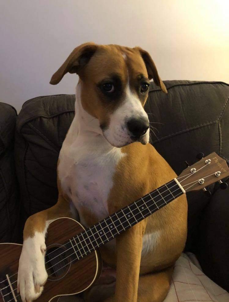 Main Gallery Display
