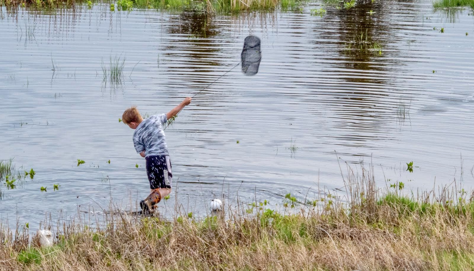 Main Gallery Display
