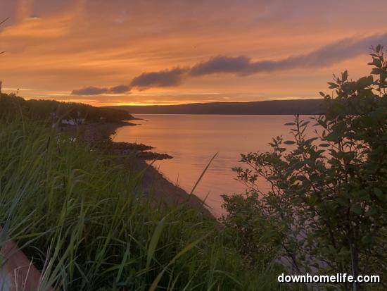 Main Gallery Display