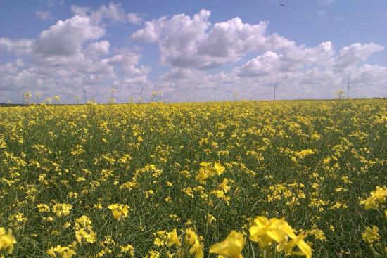 Main Gallery Display
