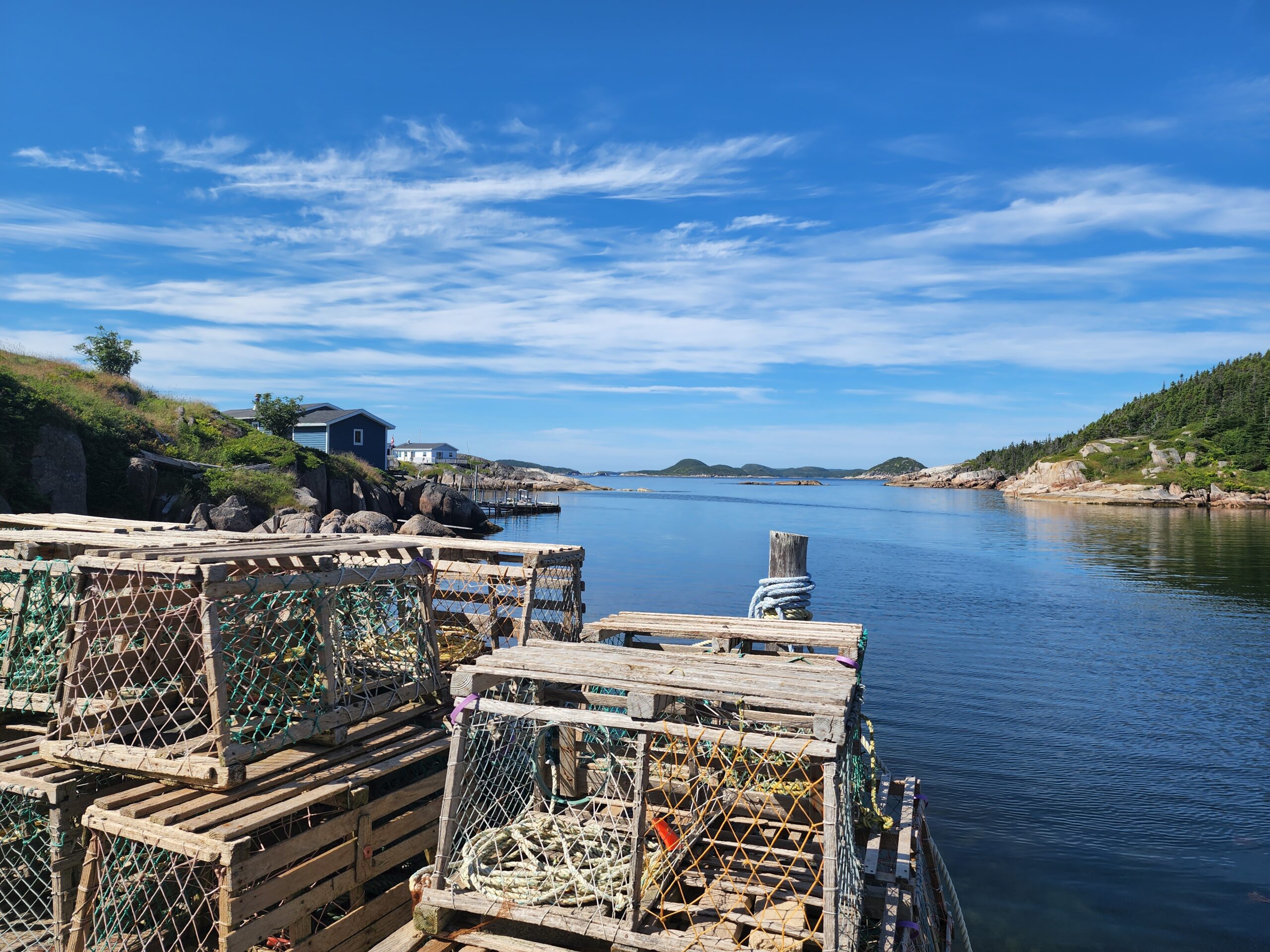 Main Gallery Display