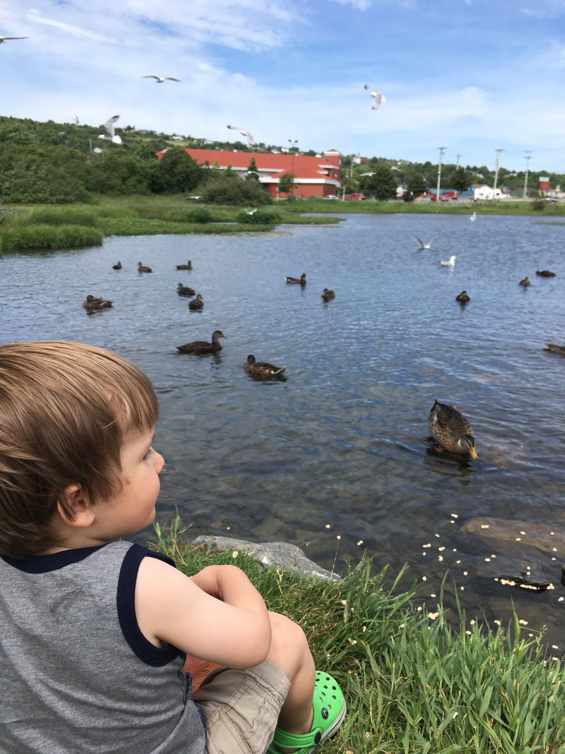 Main Gallery Display