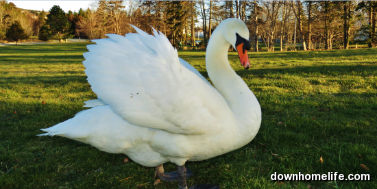 Main Gallery Display
