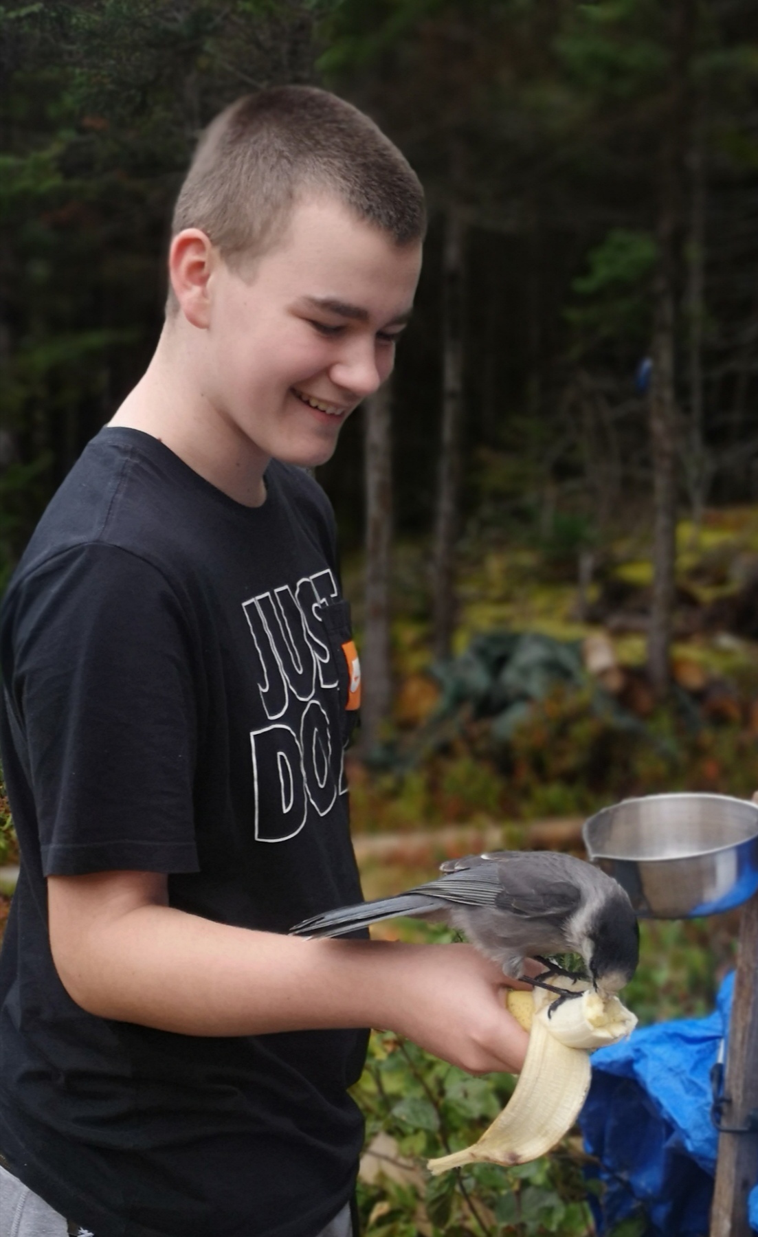 Main Gallery Display