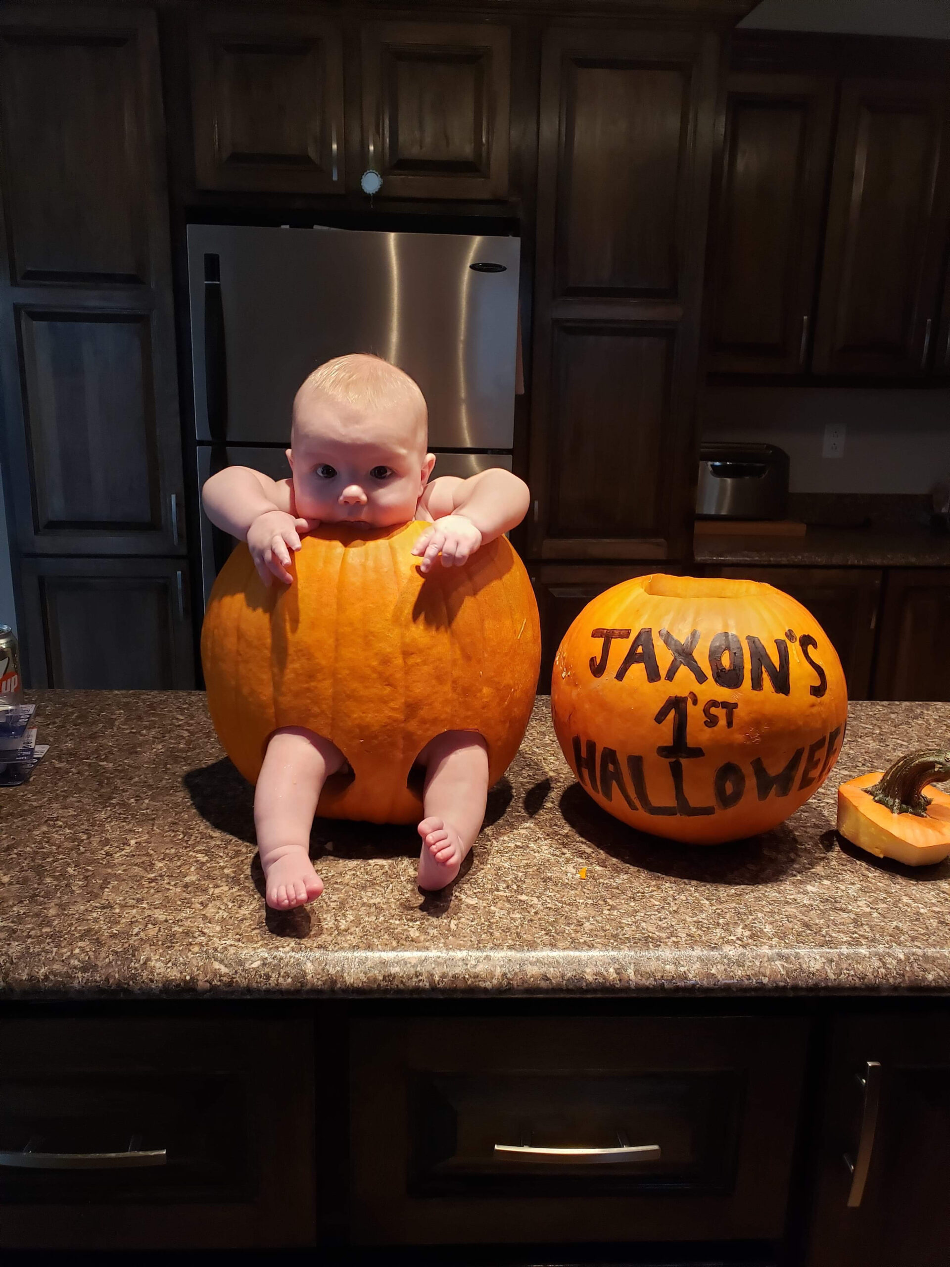 Main Gallery Display