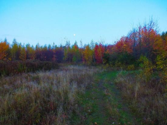Main Gallery Display