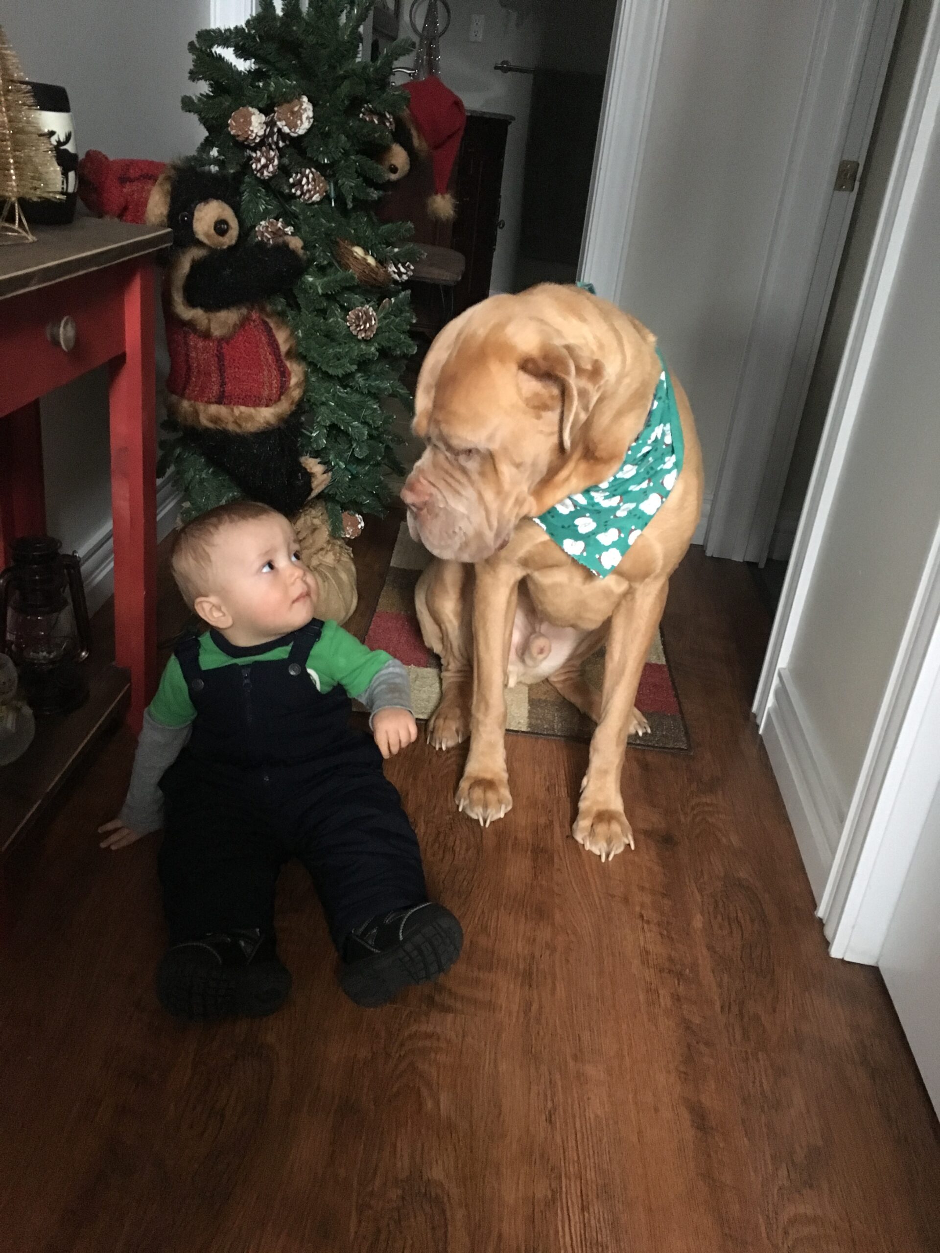 Main Gallery Display