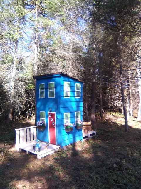 Main Gallery Display