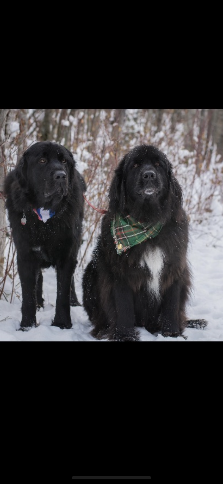 Main Gallery Display