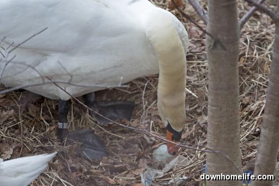 Main Gallery Display