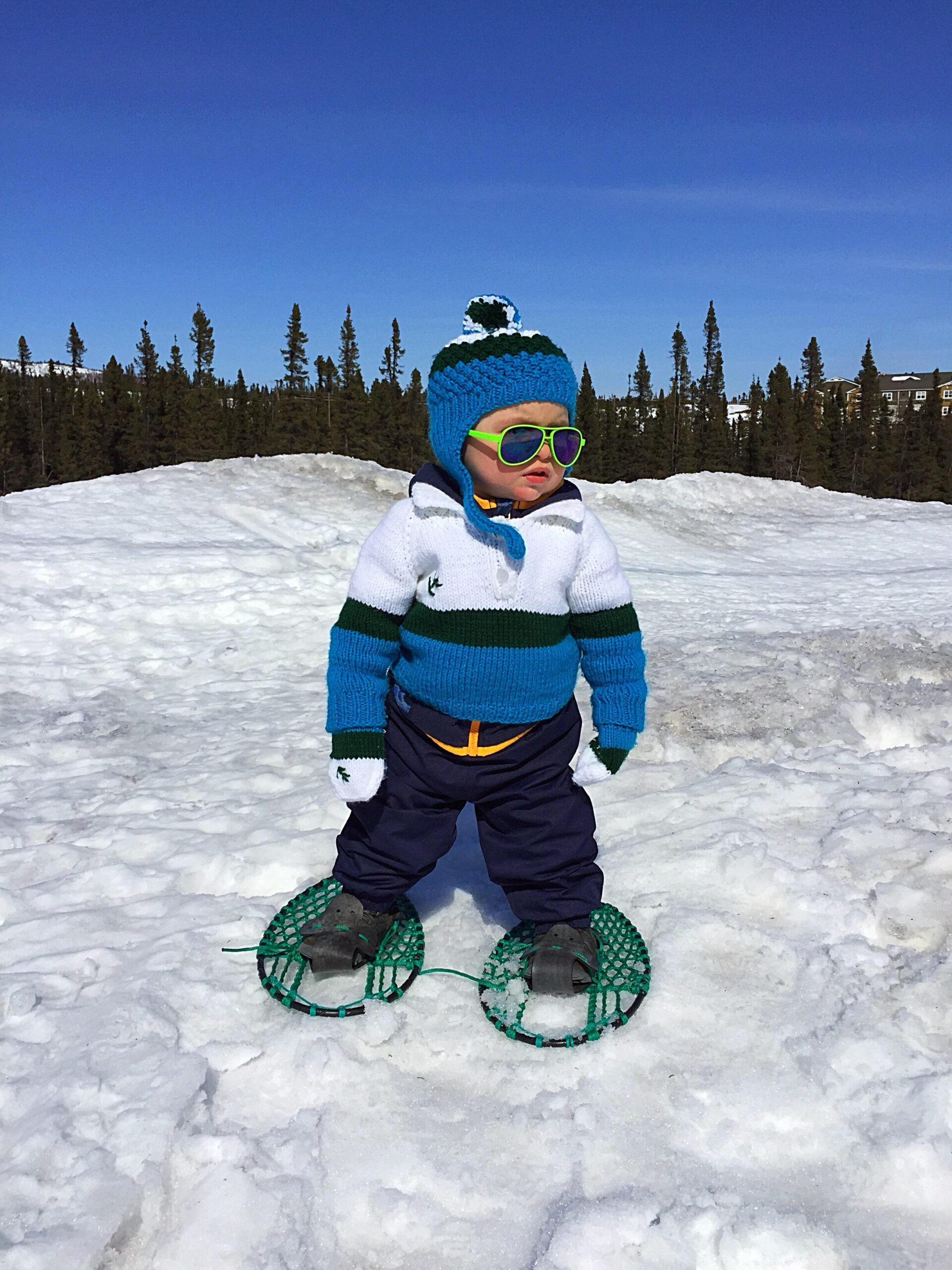 Main Gallery Display