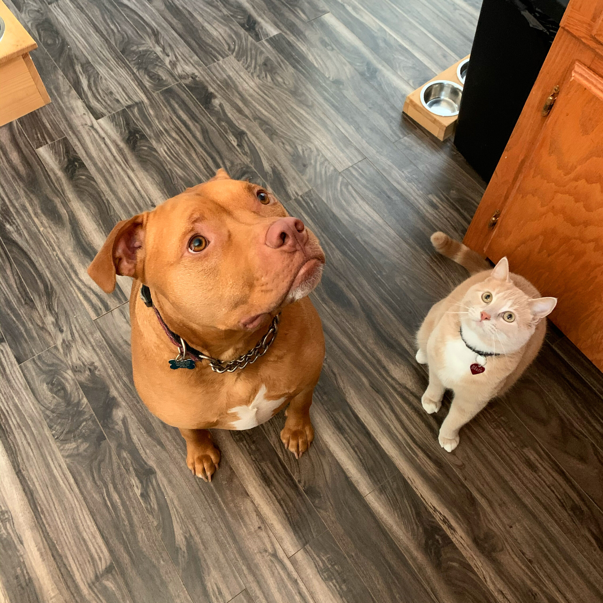 Main Gallery Display