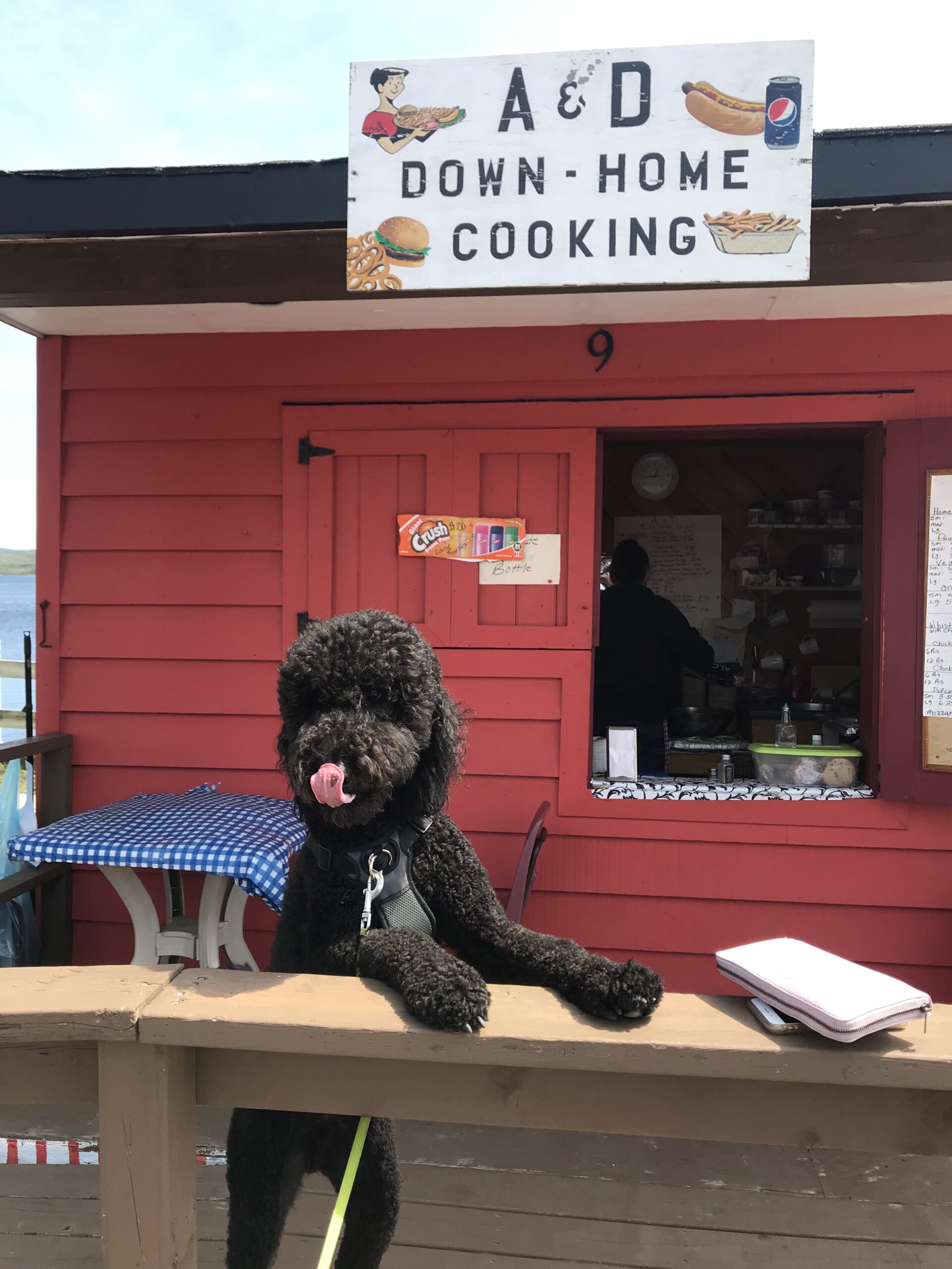 Main Gallery Display