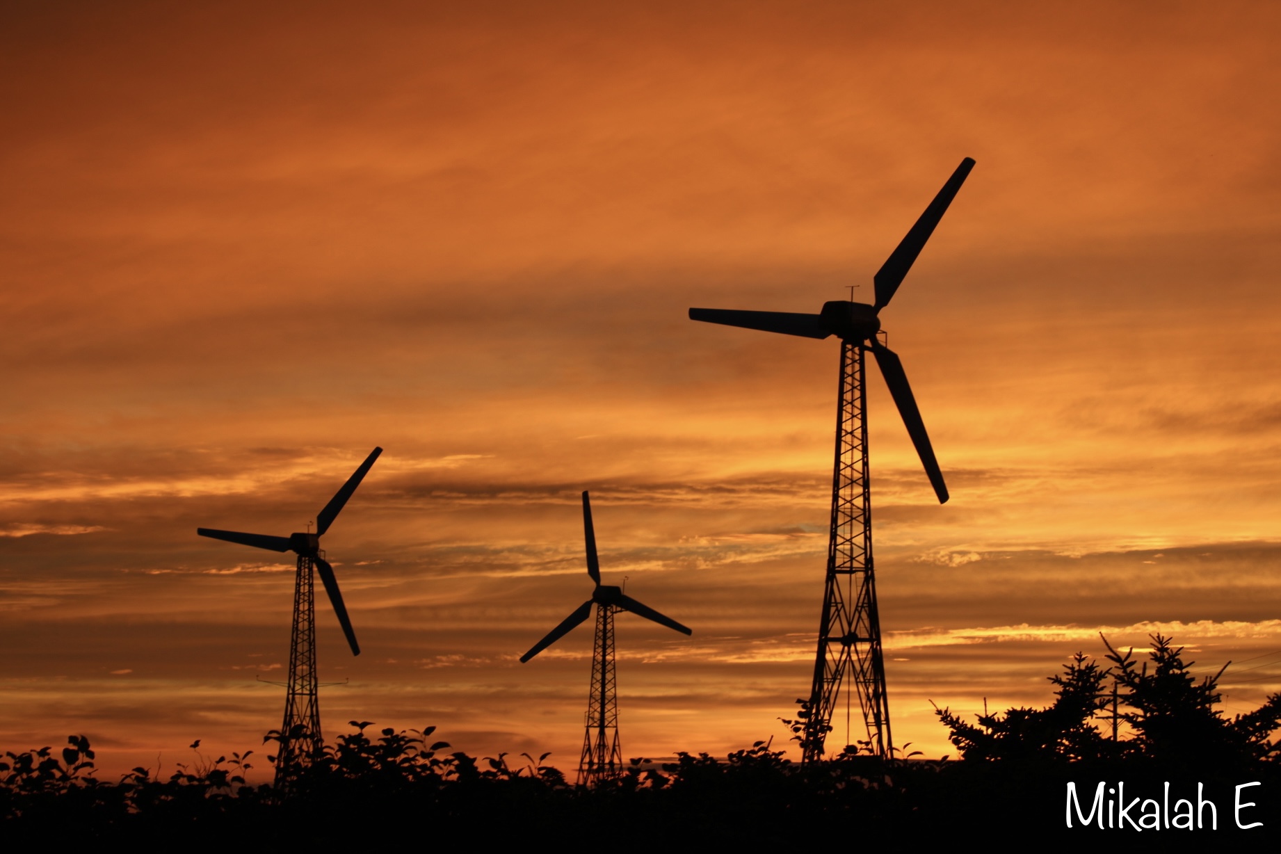 Main Gallery Display