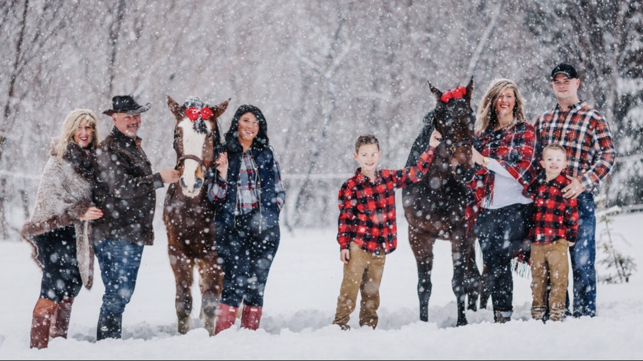 Main Gallery Display