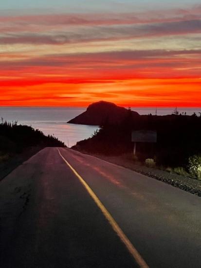 Main Gallery Display