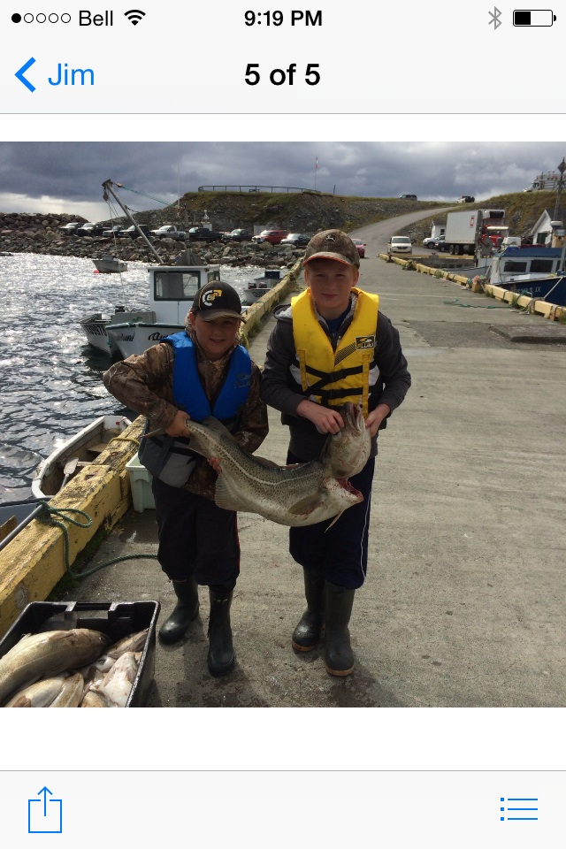 Main Gallery Display