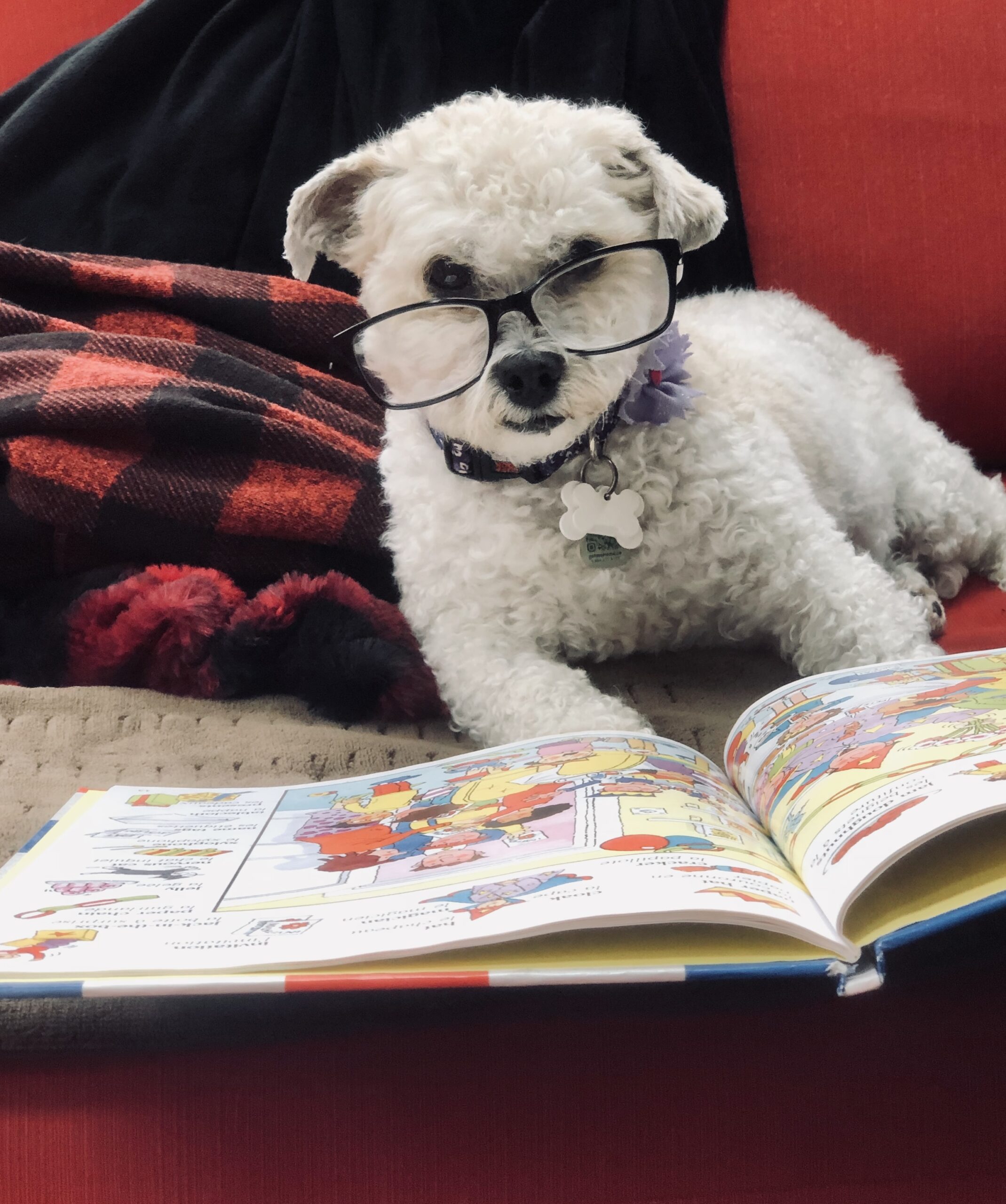 Main Gallery Display